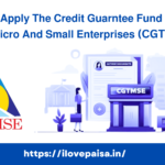 𝗛𝗼𝘄 𝗧𝗼 𝗔𝗽𝗽𝗹𝘆 𝗧𝗵𝗲 𝗖𝗿𝗲𝗱𝗶𝘁 𝗚𝘂𝗮𝗿𝗻𝘁𝗲𝗲 𝗙𝘂𝗻𝗱 𝗦𝗰𝗵𝗲𝗺𝗲 𝗙𝗼𝗿 𝗠𝗶𝗰𝗿𝗼 𝗔𝗻𝗱 𝗦𝗺𝗮𝗹𝗹 𝗘𝗻𝘁𝗲𝗿𝗽𝗿𝗶𝘀𝗲𝘀 (CGTMSE)